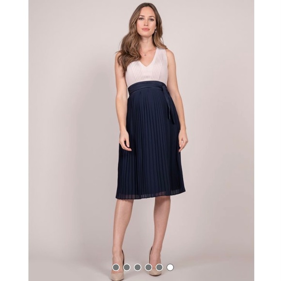 Seraphine Pleated Maternity/Nursing Dress - Picture 1 of 15